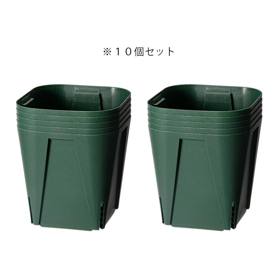 カネヤ産業　スリット鉢　ＥＧ−１２ｃｍ　ＭＲ　モスグリーン　１０個｜chanet｜02