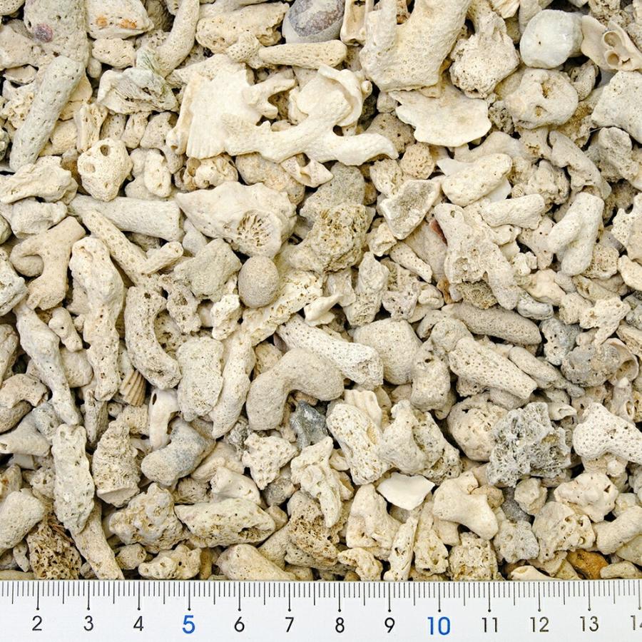 Ｃ．Ｐ．Ｆａｒｍ　天然サンゴ砂　♯１５　Ｎａｔｕｒａｌ　ｃｏｒａｌ　ｓａｎｄ　３ｋｇ（約２．３Ｌ）　海水水槽　底砂　３袋入り｜chanet｜04