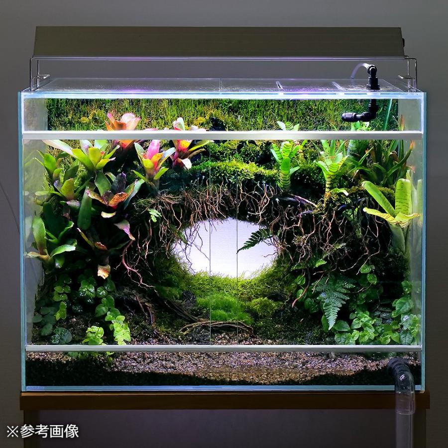 アクロ アクロ スーパークリア パルダリウム水槽 60×30 アクロ アクロ スーパークリア パルダリウム水槽 60×30