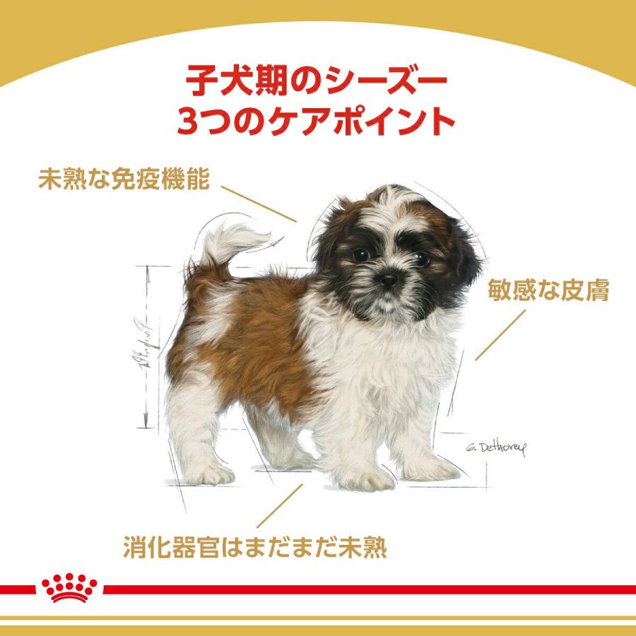 【送料無料】ロイヤルカナン　生後１０カ月齢までの子犬　ウェット３袋＋シーズー　子犬用　１．５ｋｇ　ジップ付　お一人様１点限り | ロイヤルカナン | 02