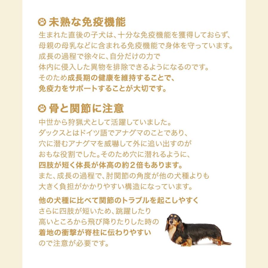 【送料無料】ロイヤルカナン　生後１０カ月齢までの子犬　ウェット３袋＋ダックスフンド　子犬用　１．５ｋｇ　ジップ付　お一人様１点限り | ロイヤルカナン | 03