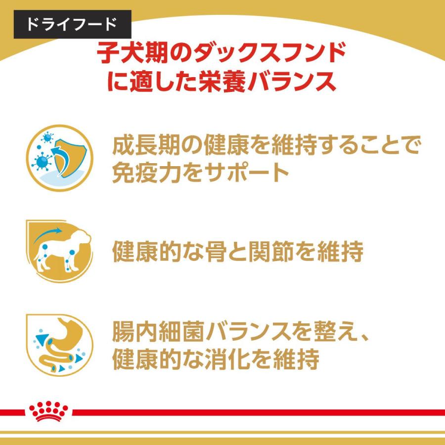 【送料無料】ロイヤルカナン　生後１０カ月齢までの子犬　ウェット３袋＋ダックスフンド　子犬用　１．５ｋｇ　ジップ付　お一人様１点限り | ロイヤルカナン | 04