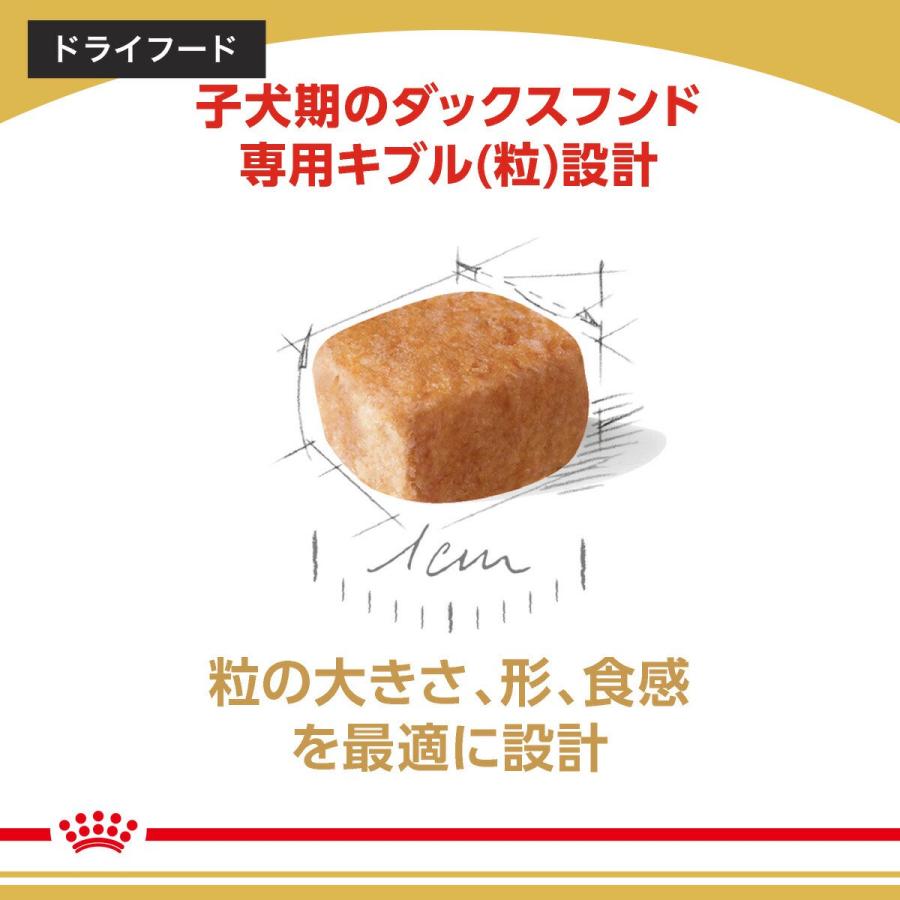 【送料無料】ロイヤルカナン　生後１０カ月齢までの子犬　ウェット３袋＋ダックスフンド　子犬用　１．５ｋｇ　ジップ付　お一人様１点限り | ロイヤルカナン | 05