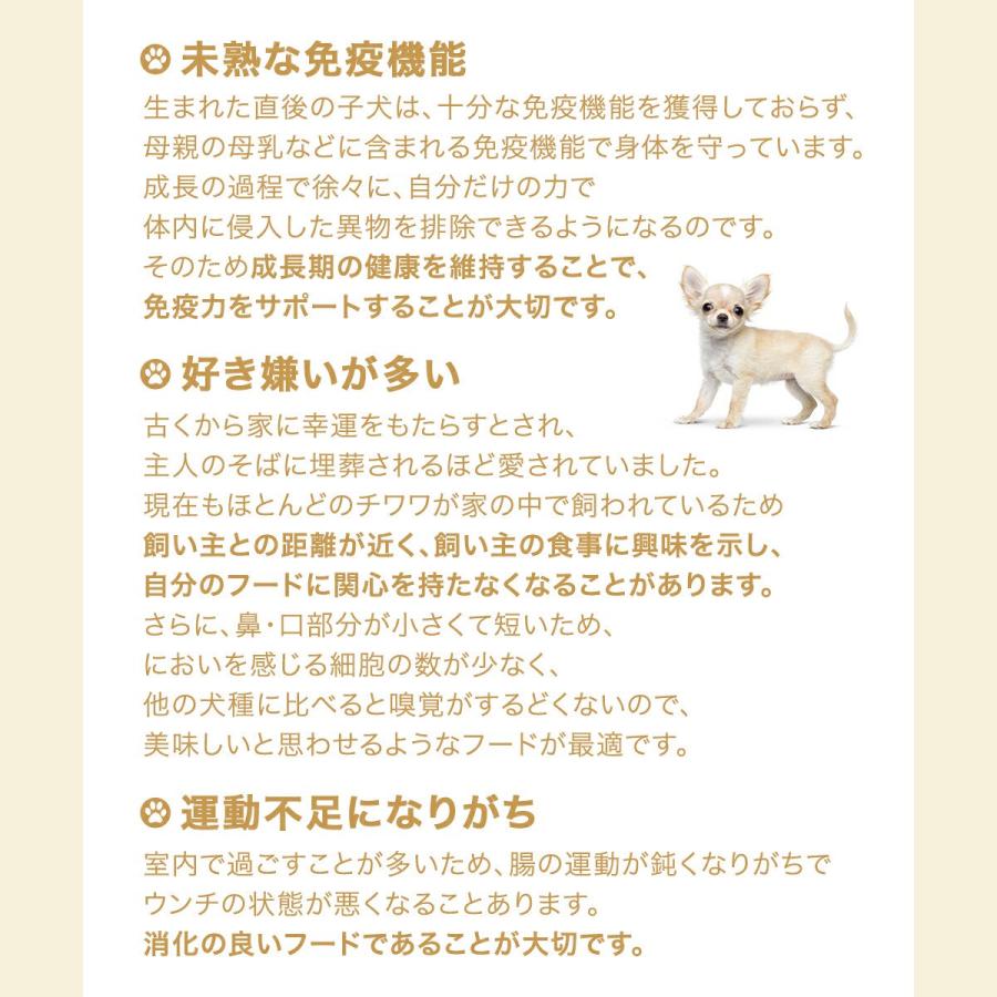 【送料無料】ロイヤルカナン　生後１０カ月齢までの子犬　ウェット３袋＋チワワ　子犬用　１．５ｋｇ　ジップ付　お一人様１点限り | ロイヤルカナン | 03