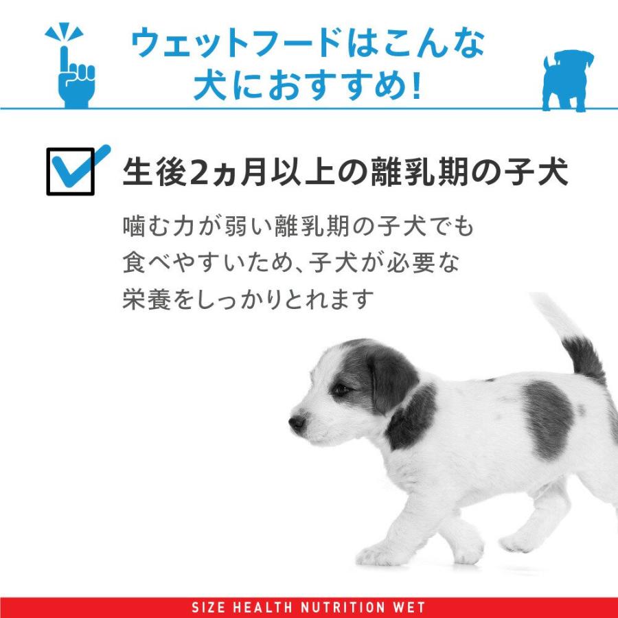 ロイヤルカナン（ROYAL CANIN） 【送料無料】ロイヤルカナン 生後10