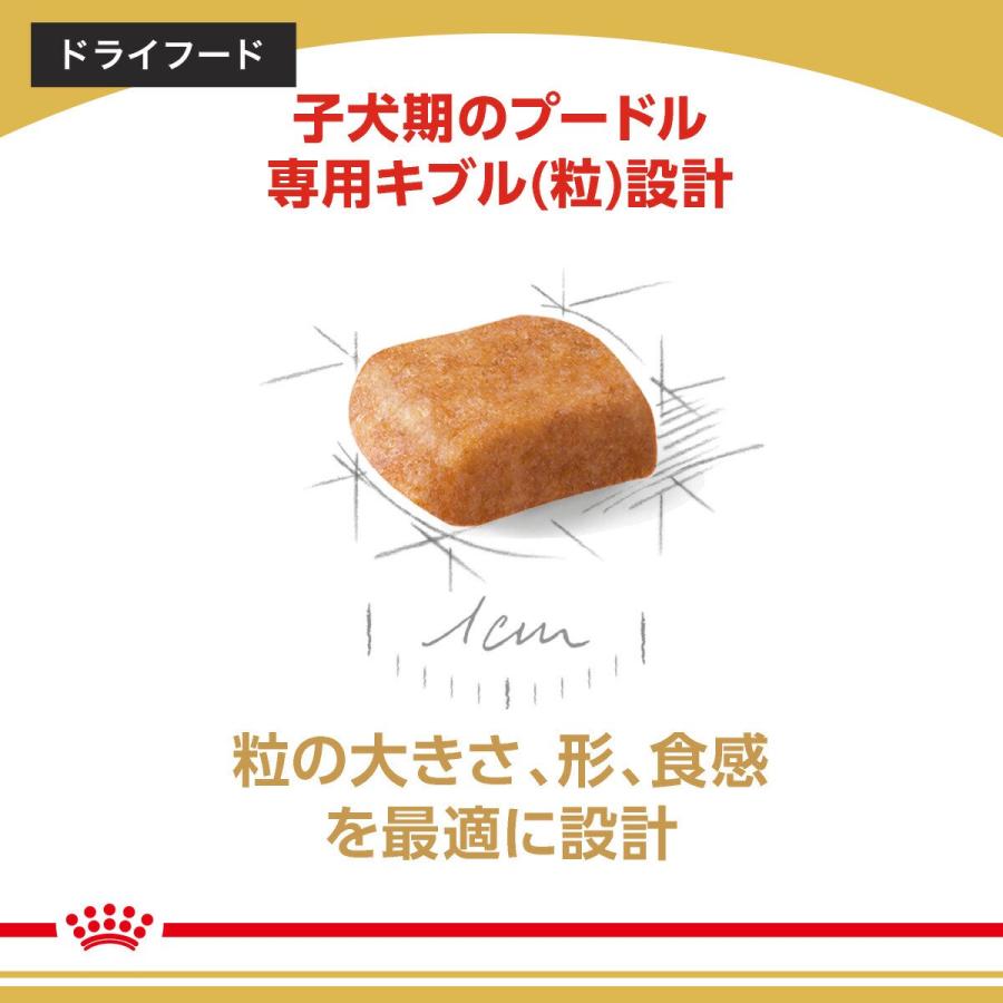 【送料無料】ロイヤルカナン　生後１０カ月齢までの子犬　ウェット３袋＋プードル　子犬用　１．５ｋｇ　ジップ付　お一人様１点限り | ロイヤルカナン | 05