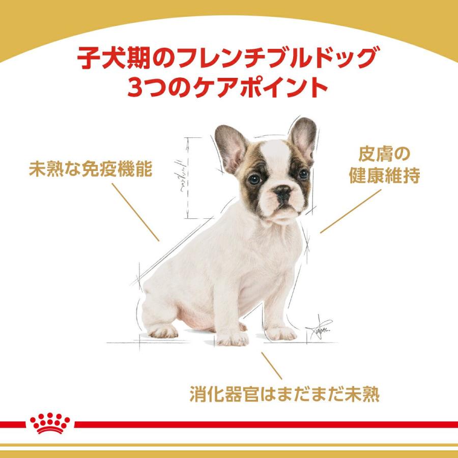 【送料無料】ロイヤルカナン　生後１０カ月齢までの子犬　ウェット３袋＋フレンチブルドッグ　子犬用　３ｋｇ　ジップ付　お一人様１点限り | ロイヤルカナン | 02