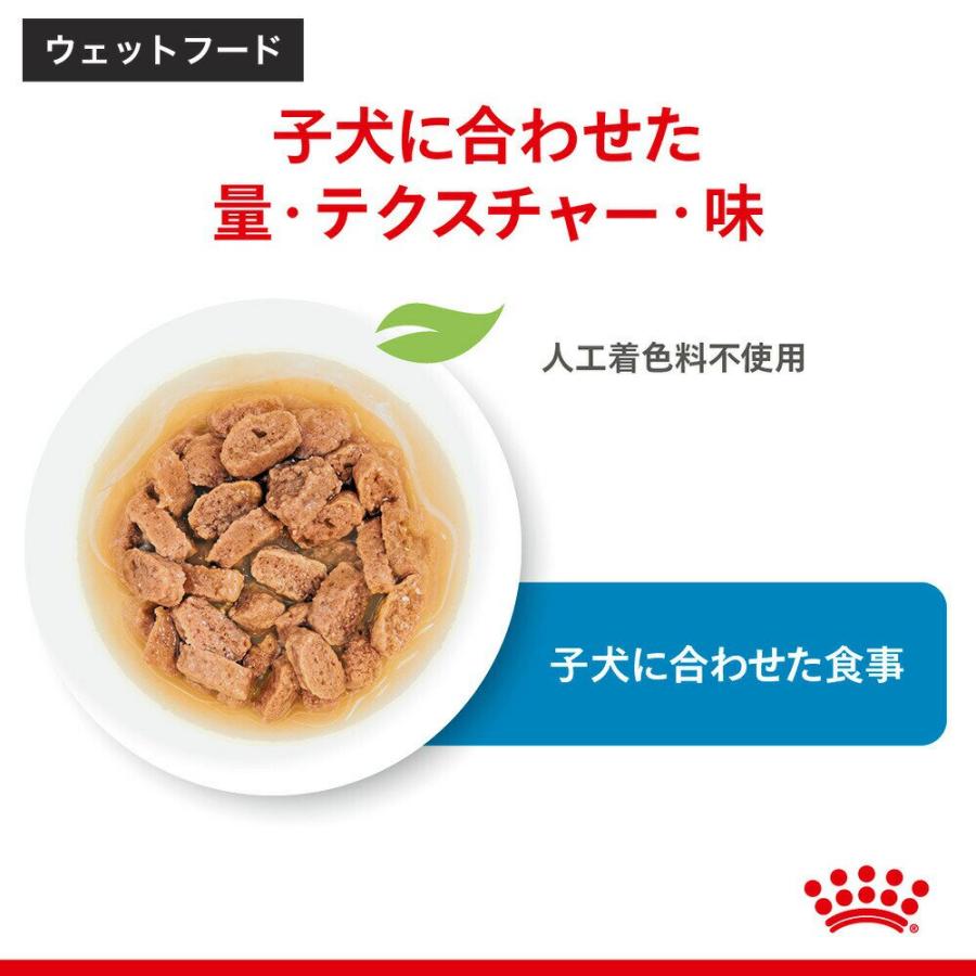【送料無料】ロイヤルカナン　生後１０カ月齢までの子犬　ウェット３袋＋フレンチブルドッグ　子犬用　３ｋｇ　ジップ付　お一人様１点限り | ロイヤルカナン | 08