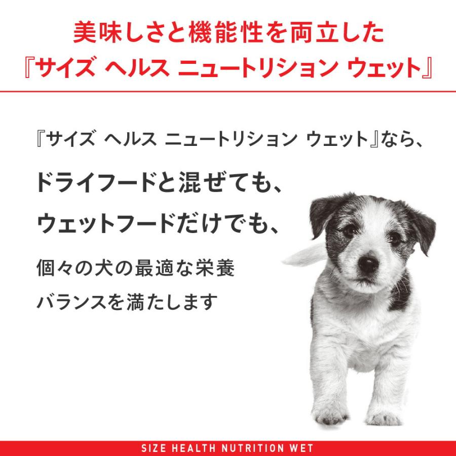 【送料無料】ロイヤルカナン　生後１０カ月齢までの子犬　ウェット３袋＋ミニチュアシュナウザー子犬　１．５ｋｇ　ジップ付｜chanet｜06