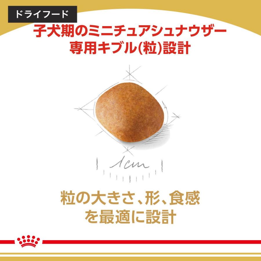 【送料無料】ロイヤルカナン　生後１０カ月齢までの子犬　ウェット３袋＋ミニチュアシュナウザー子犬　１．５ｋｇ　ジップ付　お一人様１点限り | ロイヤルカナン | 05