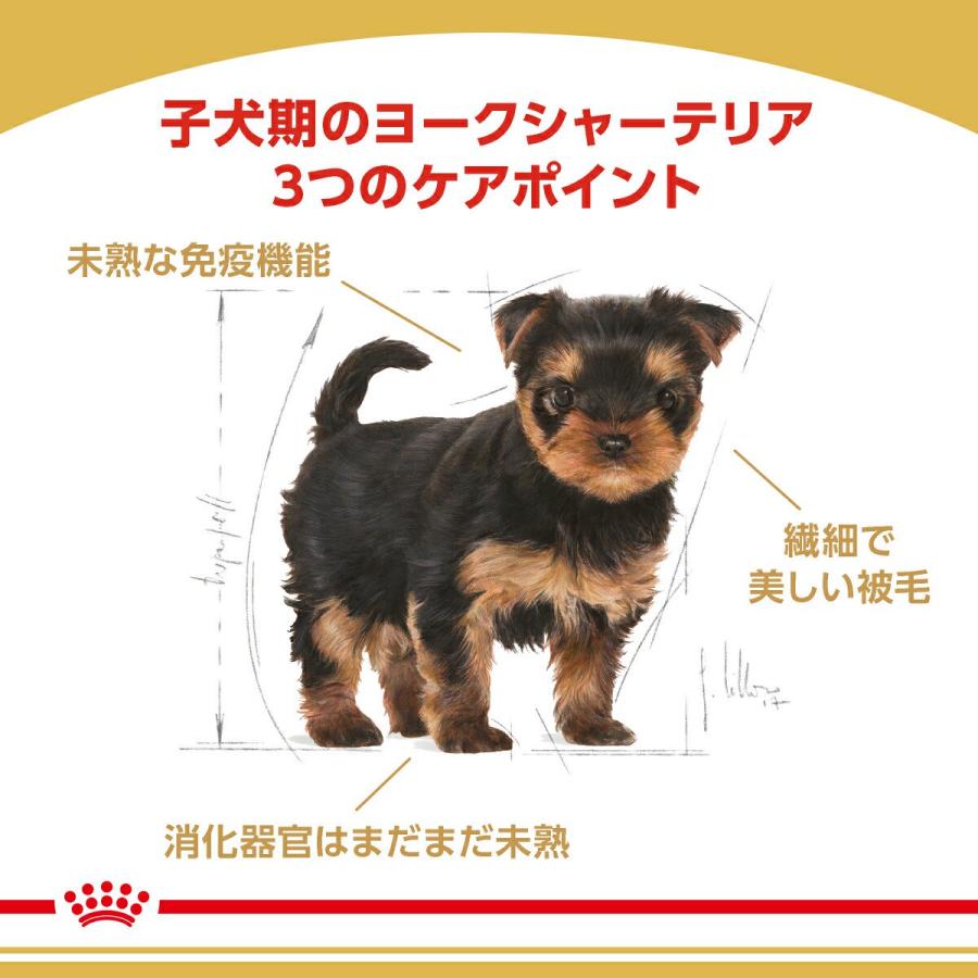 【送料無料】ロイヤルカナン　生後１０カ月齢までの子犬　ウェット３袋＋ヨークシャーテリア　子犬　１．５ｋｇ　ジップ付　お一人様１点限り | ロイヤルカナン | 02