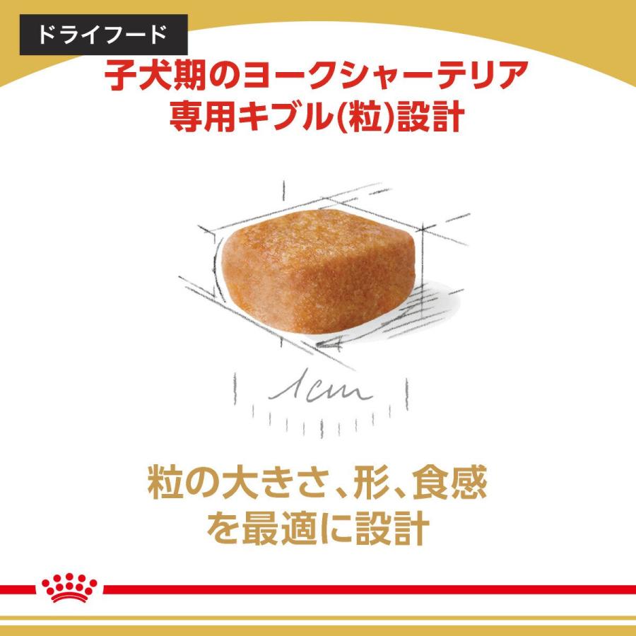 【送料無料】ロイヤルカナン　生後１０カ月齢までの子犬　ウェット３袋＋ヨークシャーテリア　子犬　１．５ｋｇ　ジップ付　お一人様１点限り | ロイヤルカナン | 05