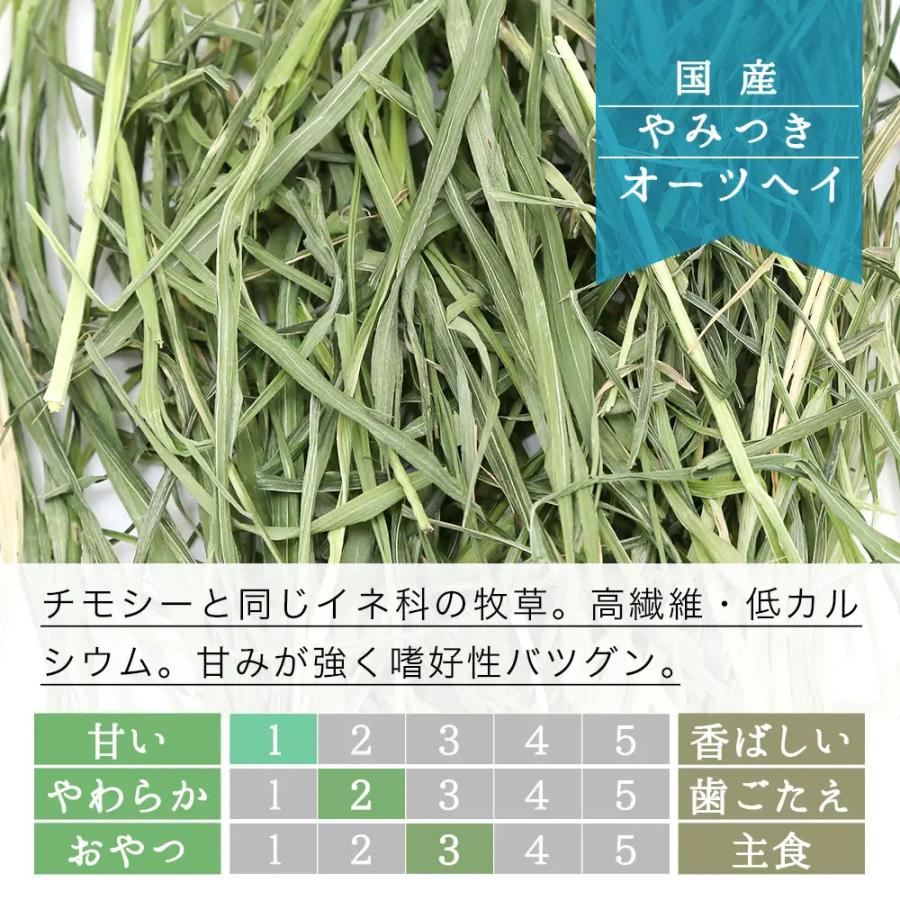 チャーム（charm） マルカン バニーグレードチモシー 1kg やみつき