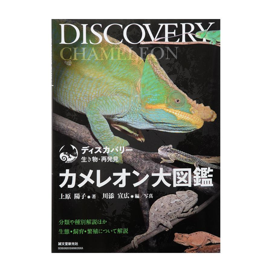 ディスカバリー生き物・再発見 カメレオン大図鑑 : チャーム charm