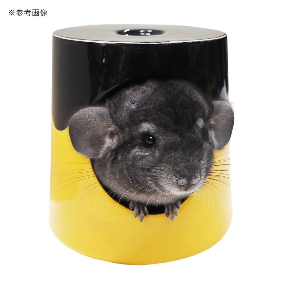 レインボー チンチラドーム プリン ハウス 陶器 : チャーム charm