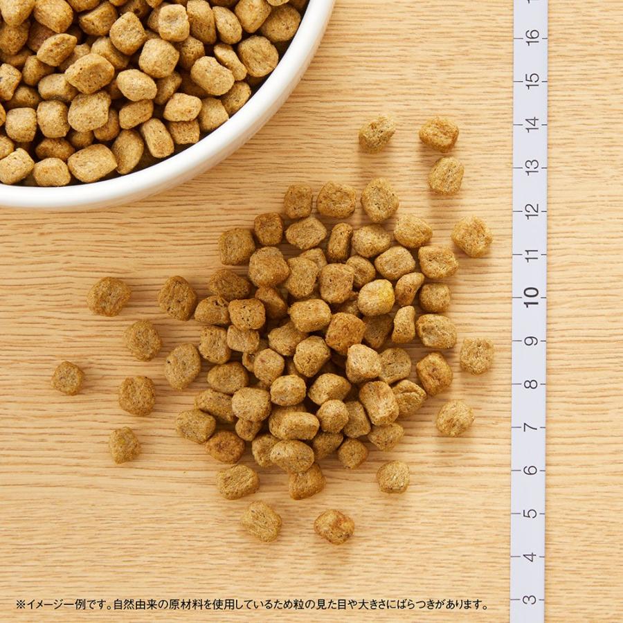 ナチュラルチョイス ニュートロ ナチュラルチョイス 減量用 超小型犬