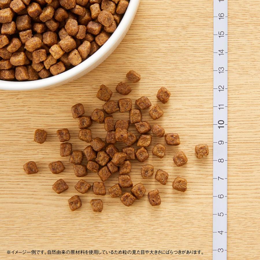 ナチュラルチョイス ニュートロ ナチュラルチョイス 子犬用 超小型犬 