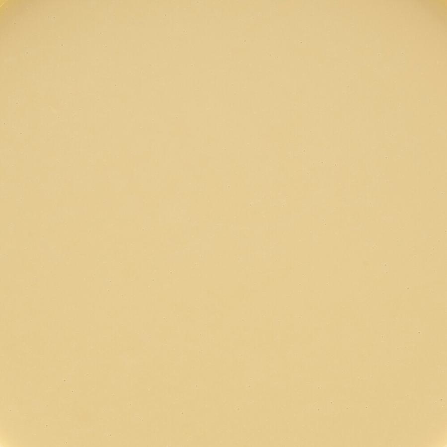 低価格 デビフ カロリーエースプラス 犬用流動食 ８５ｇ×２４缶