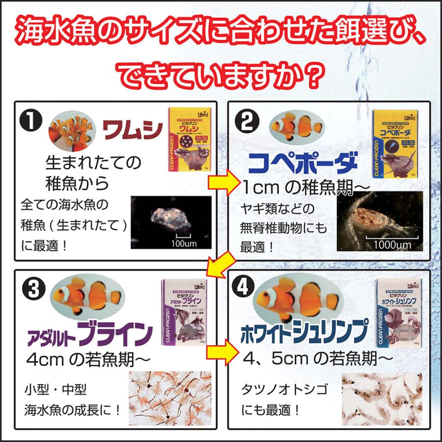 冷凍☆キョーリン ビタクリン ホワイトシュリンプ 1枚 100g 別途