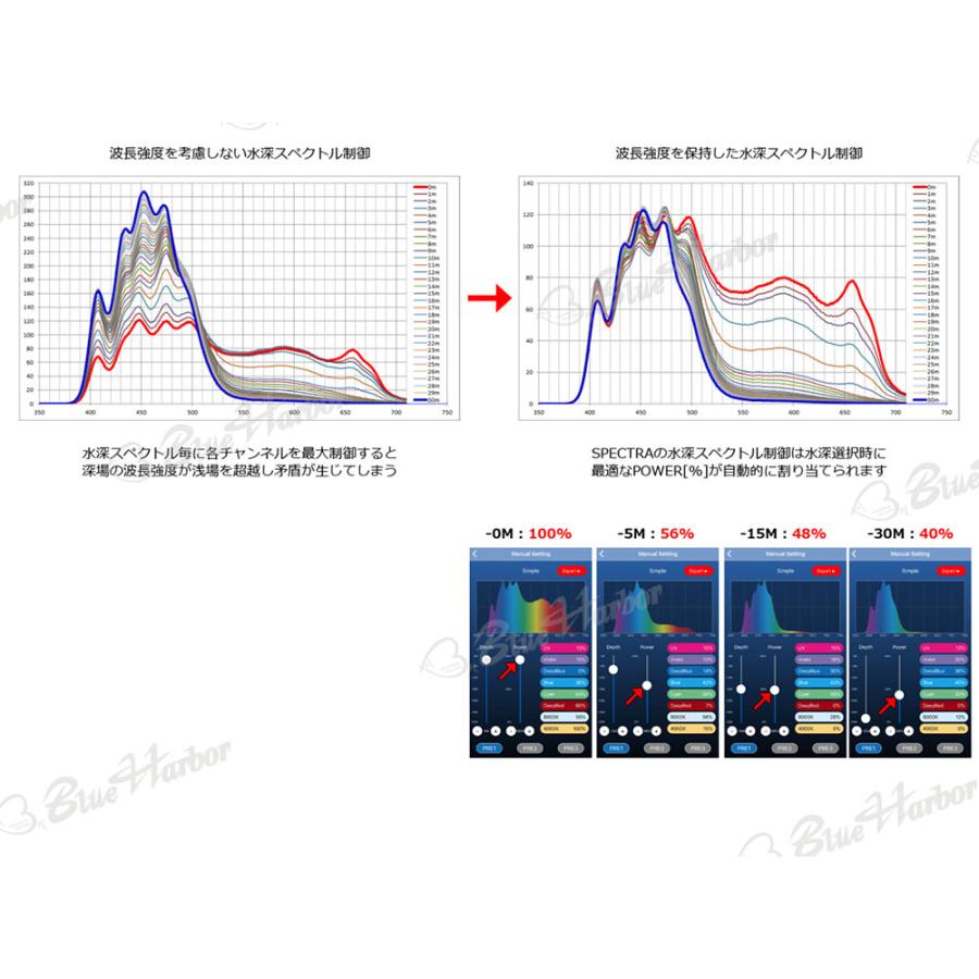 ＳＰＥＣＴＲＡ　ＳＰ２００（スペクトラ）　シルバー｜chanet｜08