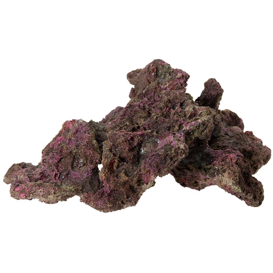 ORCA OCEAN ROCK ♯24 35×27×16cm ライブ