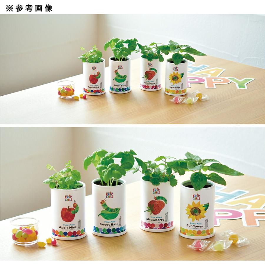 聖新陶芸 はらぺこあおむし なかよし栽培セット アップルミント 栽培キット フォード純正 マフラーハンガー リア AV615A262AA 12-14y フォーカス
