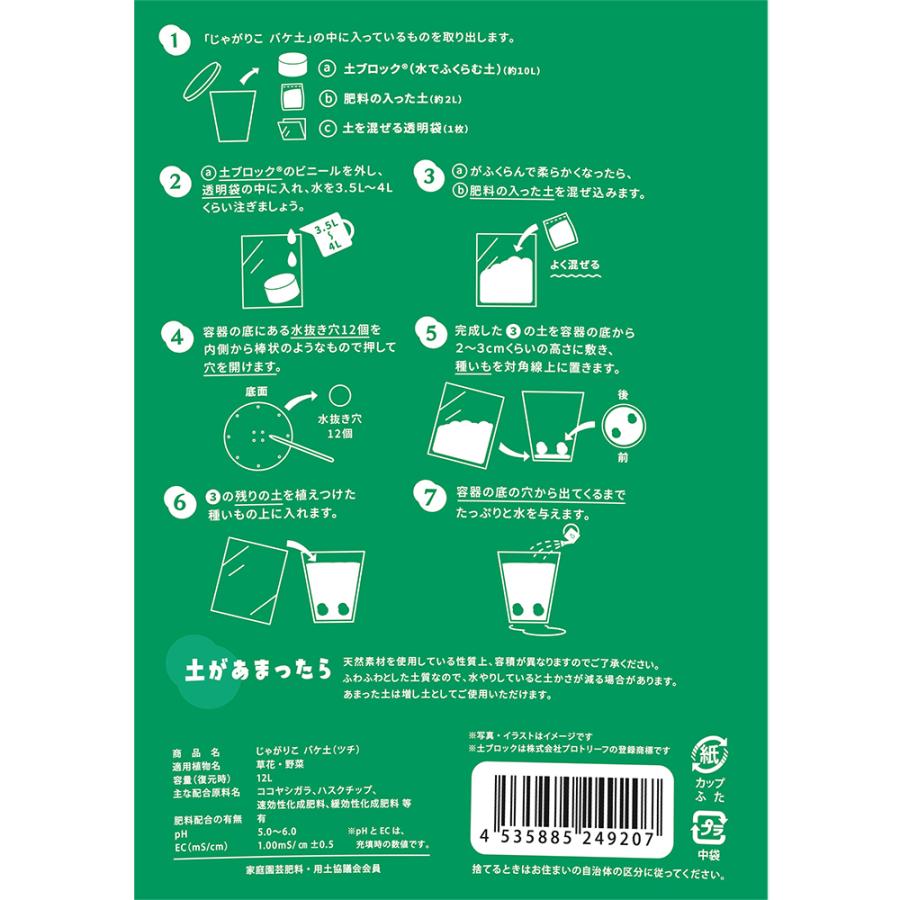 バケ土でじゃがいも栽培　ぽろしり２球セット　種イモ付き　バケツチ　カルビーポテト　お一人様３点限り　じゃがいも栽培｜chanet｜04