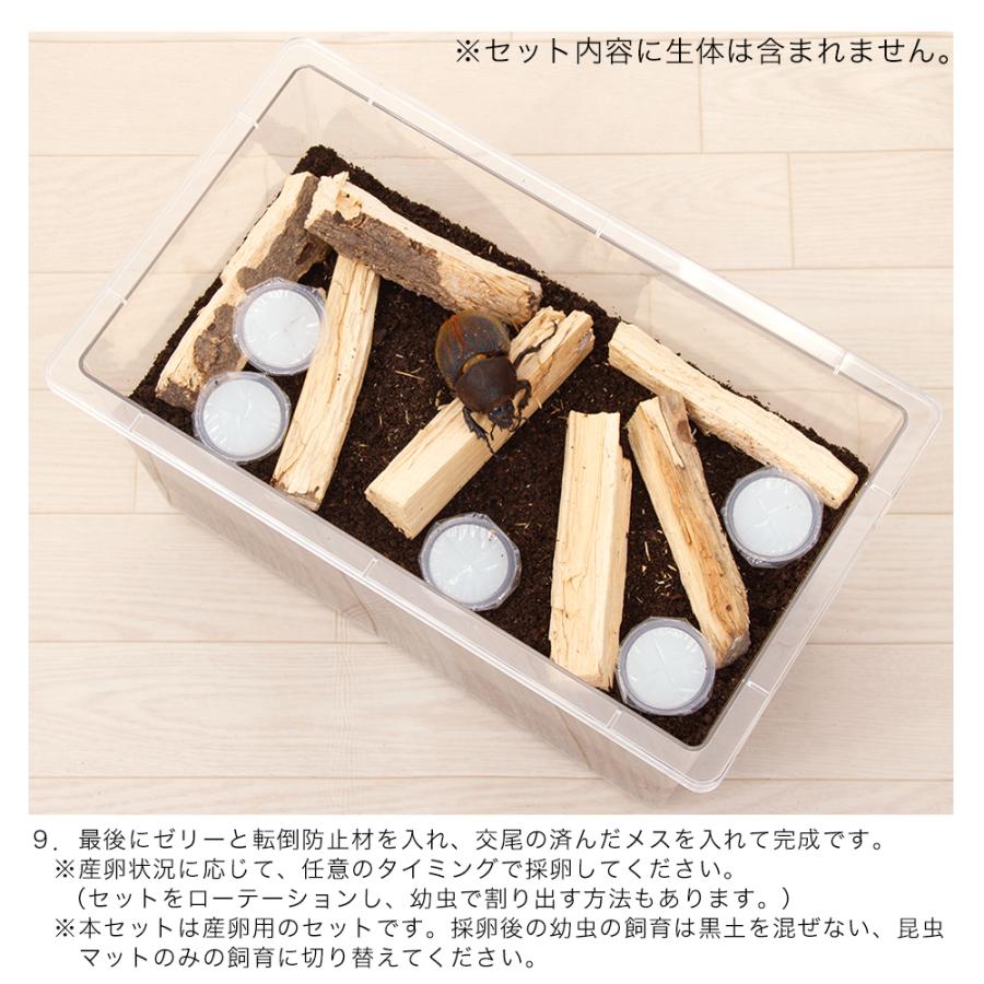 チャーム(ペット) 外国産カブトムシ用 産卵セット ヘラクレス チャーム(ペット) 外国産カブトムシ用 産卵セット ヘラクレス