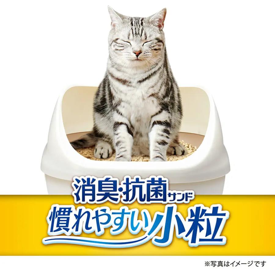 デオトイレ デオトイレ 砂 消臭・抗菌サンド 小粒タイプ 3．8L×4袋