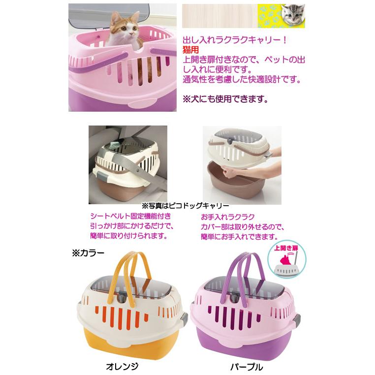 猫 子猫用 飼い始めセット スターターセット フルセット 180サイズ