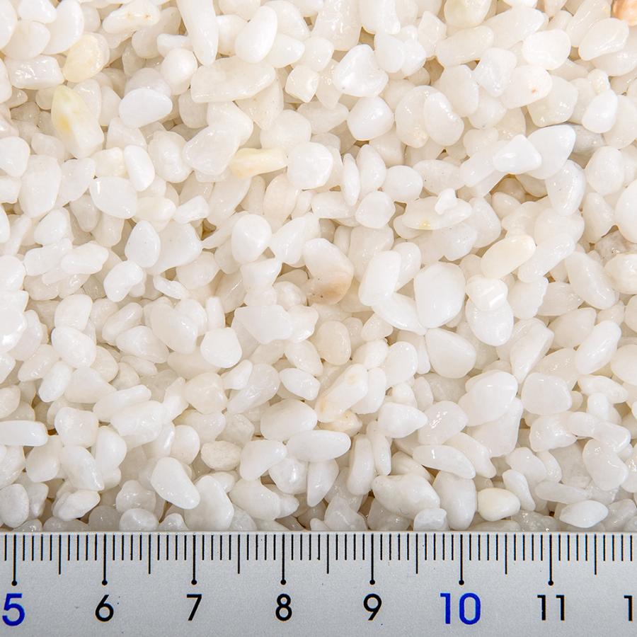 シンセー 新五色石 細目 1．5kg 白石 : チャーム charm ヤフー店 - 通販 - Yahoo!ショッピング