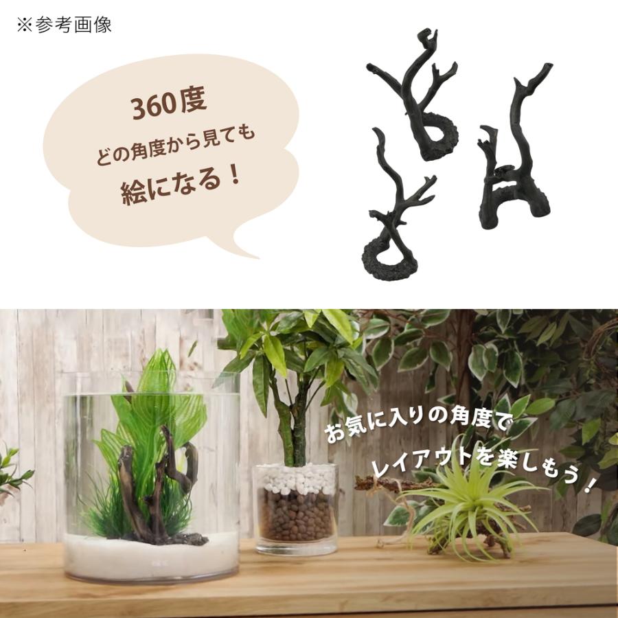 GEX（ジェックス） 癒し水景 ボトルウッド M 水槽 オブジェ