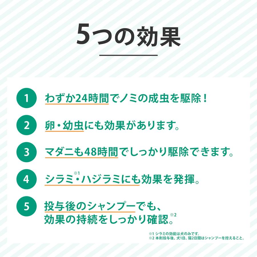 動物用医薬品　フロントラインプラス　ドッグ　Ｍ　３本　動物用医薬品｜chanet｜05