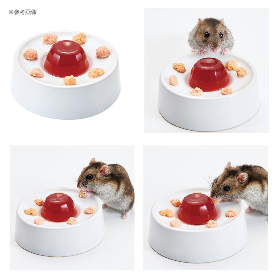 夢弓.(*^^*)ハムスター＆シマリス専用お試しおやつ(餌•エサ)セット マルカン リス・ハムスターのおいしい主食 お徳用 500g ハムスター