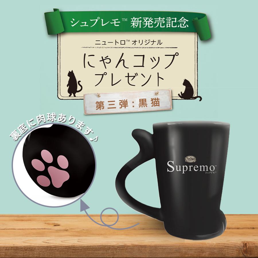 ニュートロ シュプレモ 成猫用 サーモン＆チキン ４００ｇ ×２袋