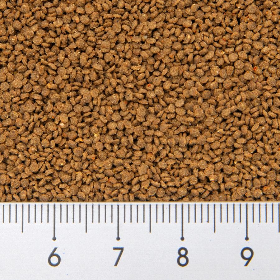 キョーリン　パラクリア　ディスク　１ｋｇ　金魚・コリドラス・熱帯魚　ハーブ　エラ・体表ケア　餌　フード　金魚の餌　お一人様５０点限り |  | 01