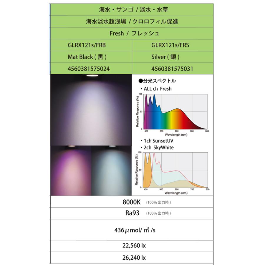 ボルクスジャパン Grassy LeDio RX121s Fresh