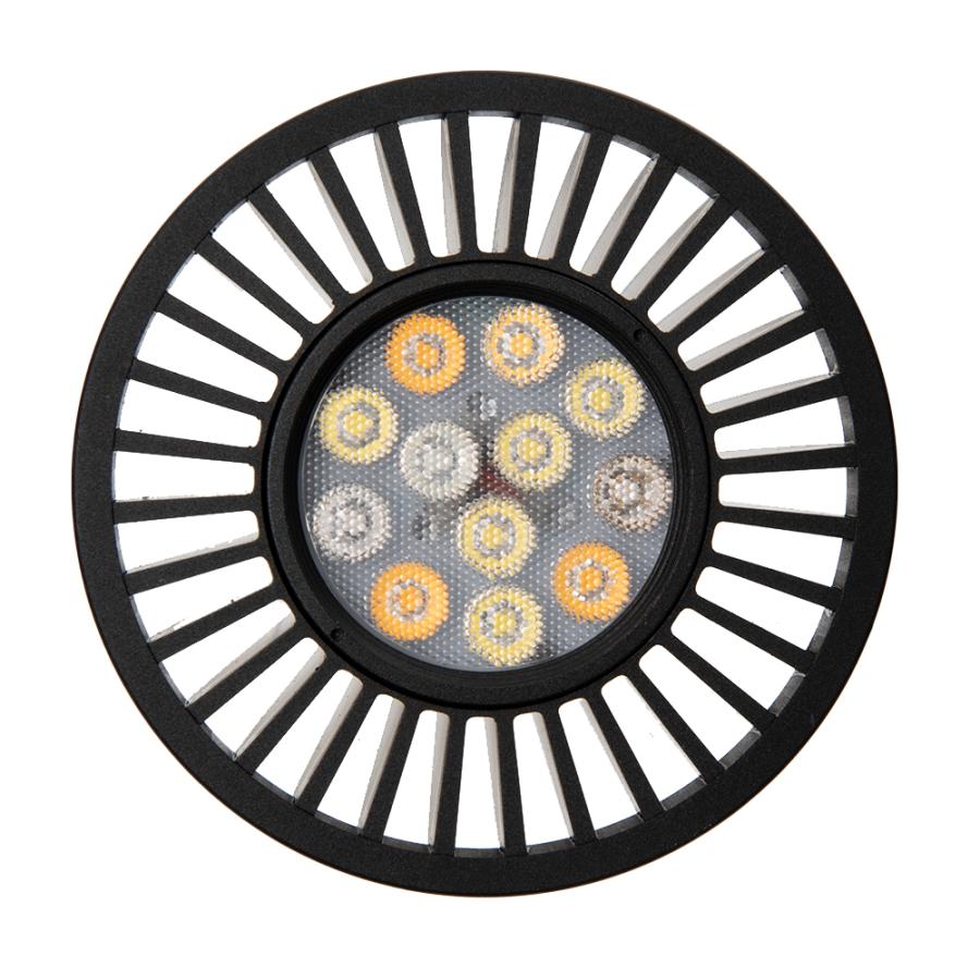 ボルクスジャパン Grassy LeDio RX121s Fresh