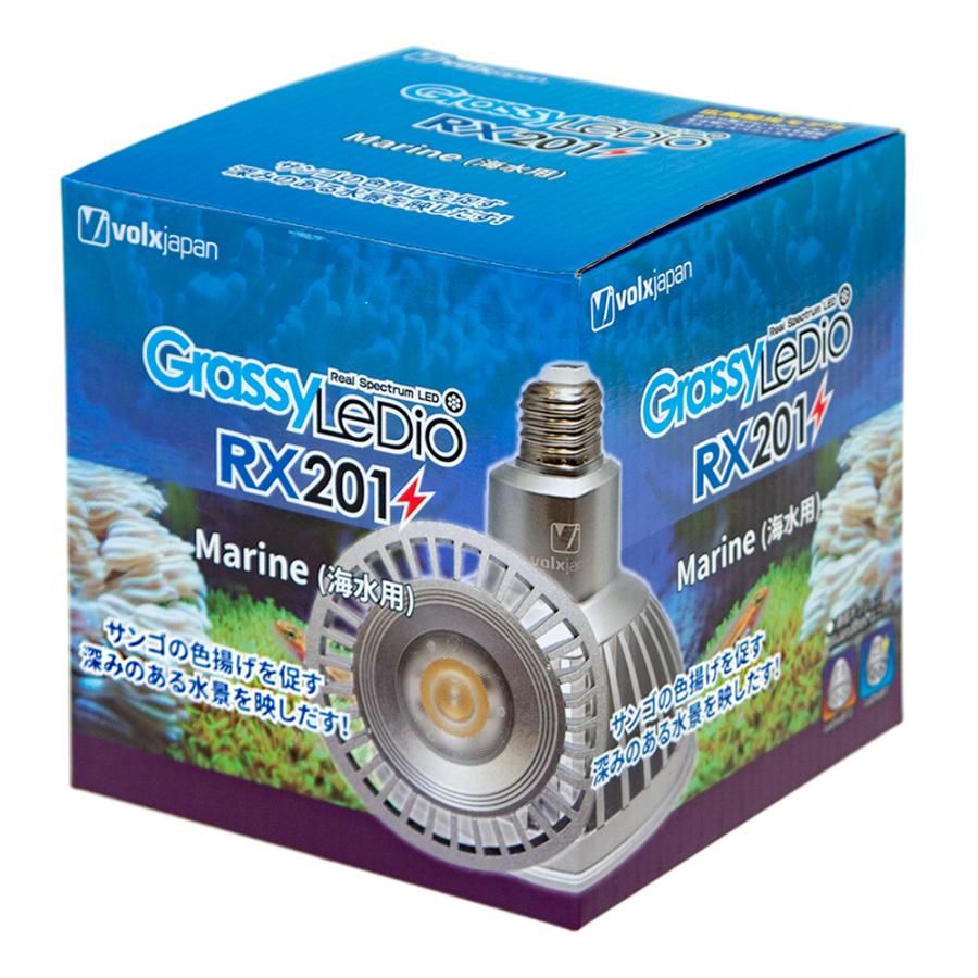 ①ボルクスジャパン Grassy LeDio RX122c Marine/マリン ボルクス 