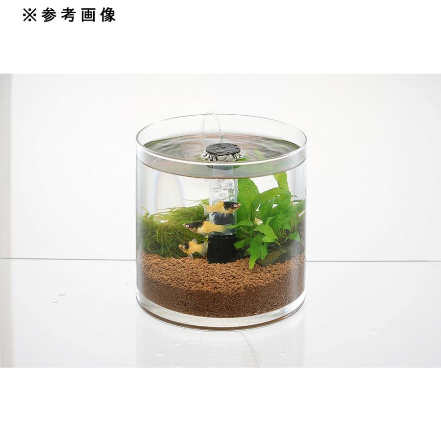 水作 ボトムフィルター R 底面フィルター ボトルアクアリウム 小型