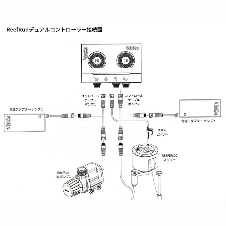 レッドシー Reef Run デュアルコントローラー : チャーム charm