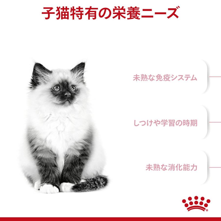ロイヤルカナン　子猫　キトン　成長後期の子猫用　生後１２ヵ月齢まで　２ｋｇ×２袋　ジップ付　キャットフード　ドライ　お一人様２点限り | ロイヤルカナン | 02