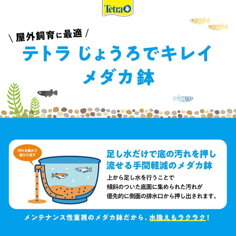 テトラ　じょうろでキレイメダカ鉢　２０　黒×１２　めだか　水槽　鉢　屋外　水足しだけで水換え簡単　沖縄別途送料 