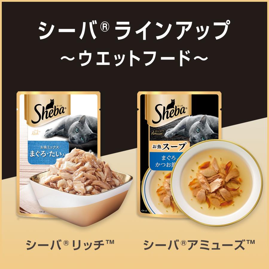 シーバ キャットフード シーバ 自然素材レシピ 3種各12袋