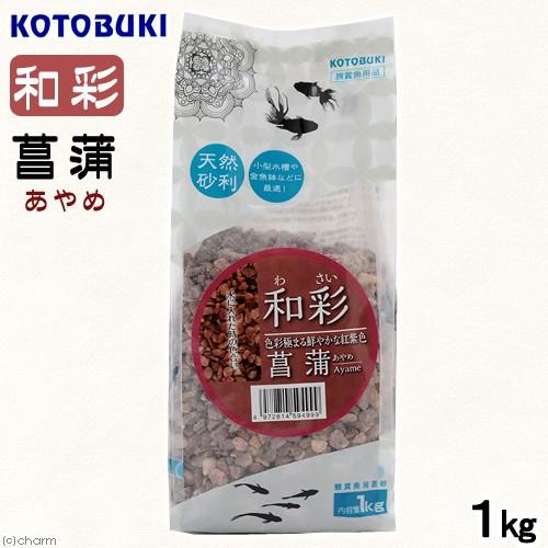 コトブキ 観賞魚用底砂 和彩WASAI 内容量1kg ×12個 コトブキ 観賞魚用底砂 和彩WASAI 内容量1kg ×12個 - メルカリ