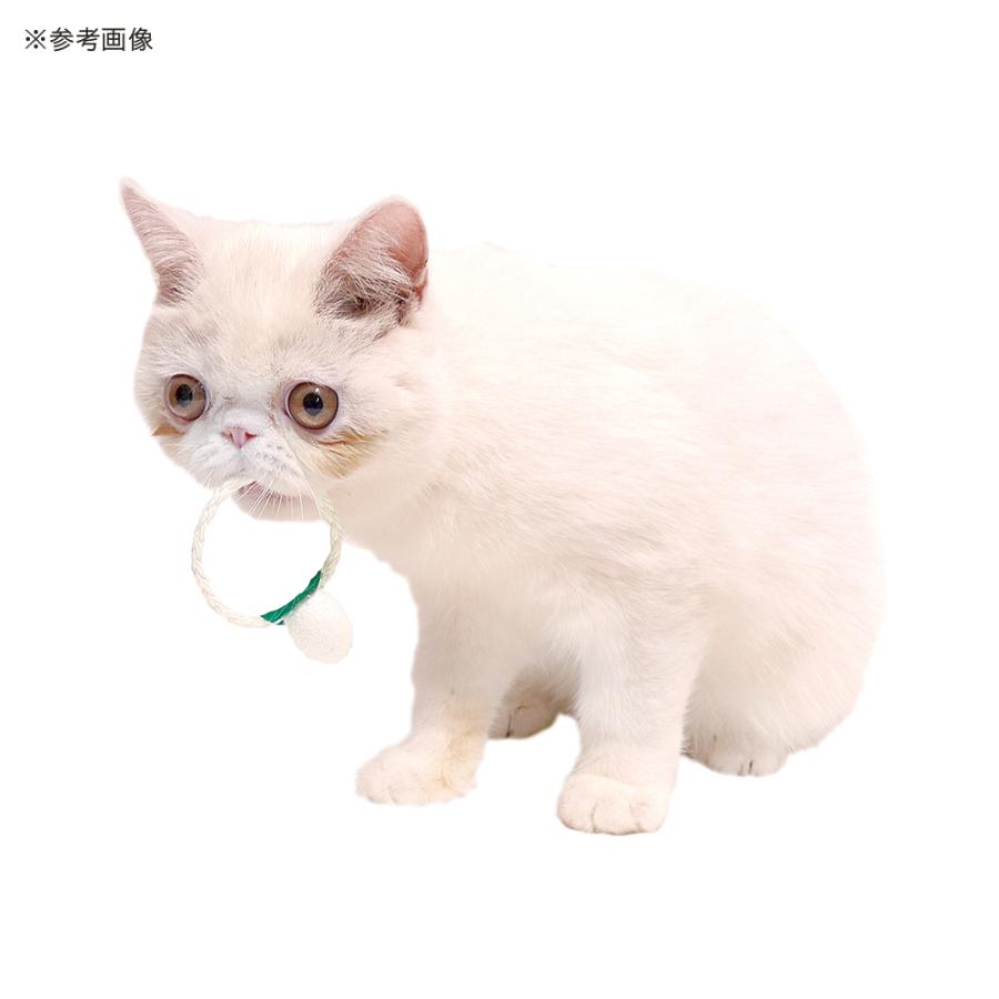 ペッツルート 猫じゃらし まゆ歯みがき 紙わっか 猫用おもちゃ