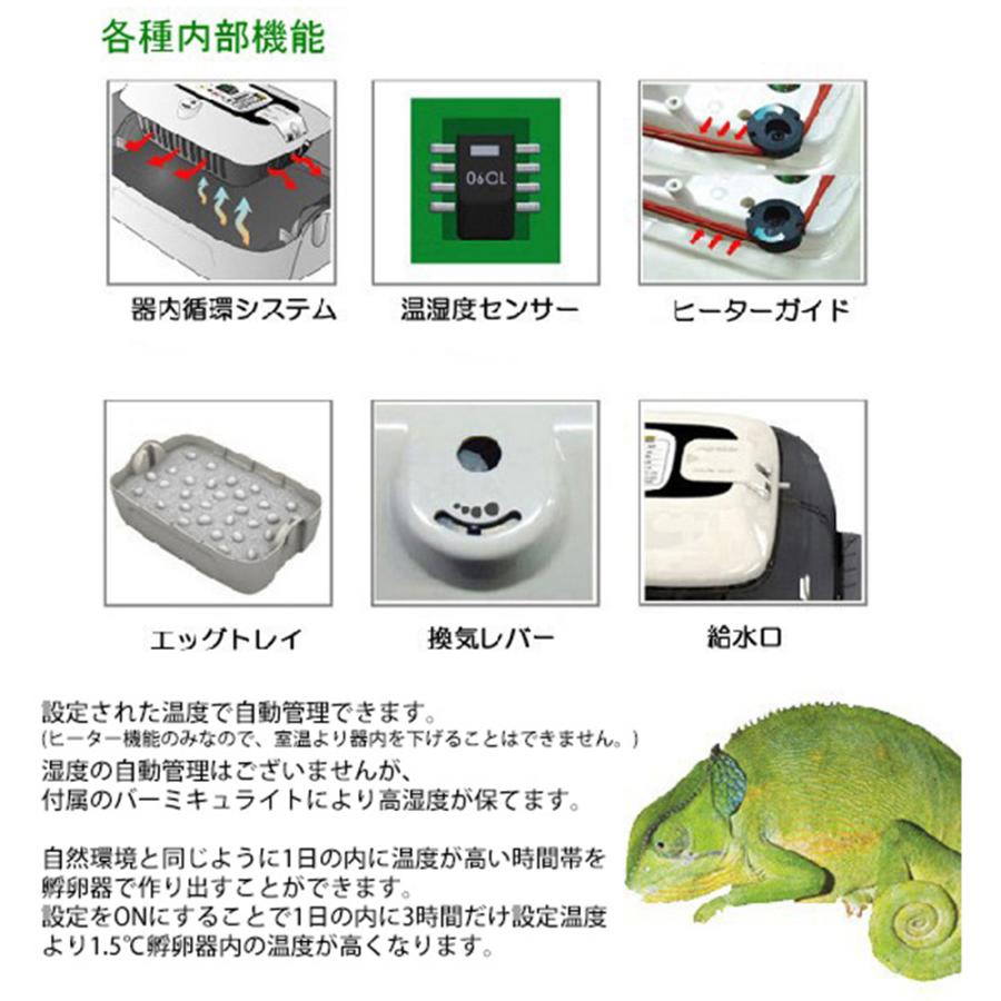 GW中のみ出品 レプタイルMAX60 ジュラゴンRX + 爬虫類用ヒーター ベルバード レプタイルMAX60 ジュラゴンRX : チャーム charm