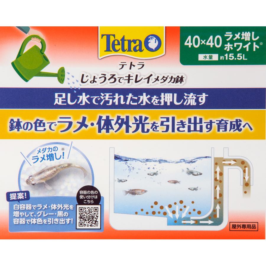 Tetra テトラ じょうろでキレイメダカ鉢 40×40 ラメ増し Tetra テトラ じょうろでキレイメダカ鉢 40×40 ラメ増し