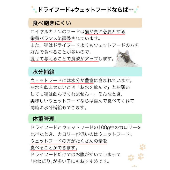 【レビュー記載でお試しウェット１袋付】ロイヤルカナン　猫　ノルウェージャンフォレストキャット　成猫用　２ｋｇ　＋　ウェット×３袋｜chanet｜07