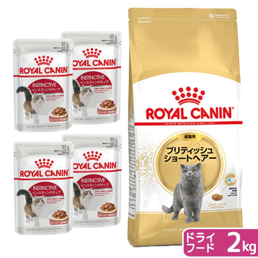 ロイヤルカナン（ROYAL CANIN） 猫 ブリティッシュ ショートヘアー 成